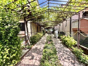 Terrein van de accommodatie