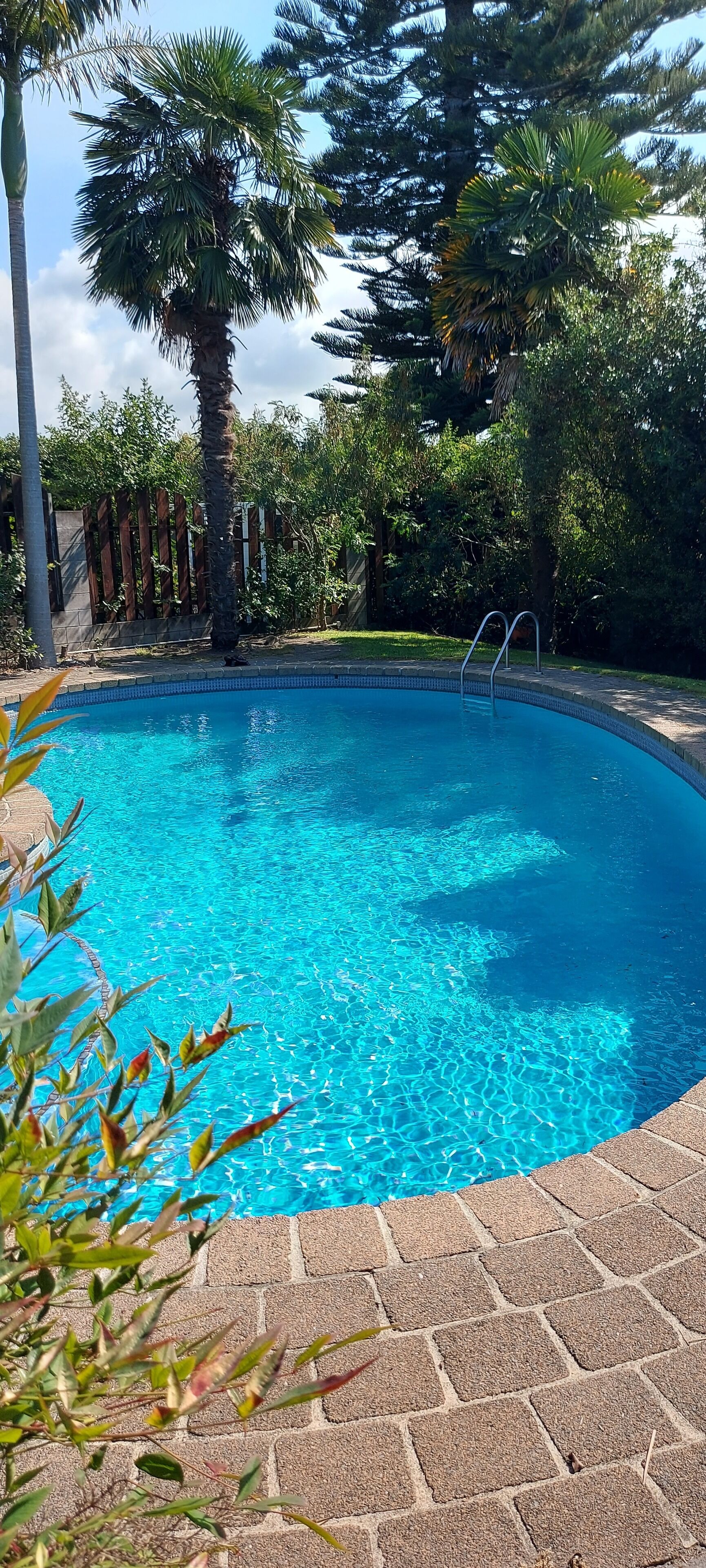 Une piscine d’un bleu éclatant, entourée d’une terrasse en briques, avec des palmiers et une clôture en bois en arrière-plan.