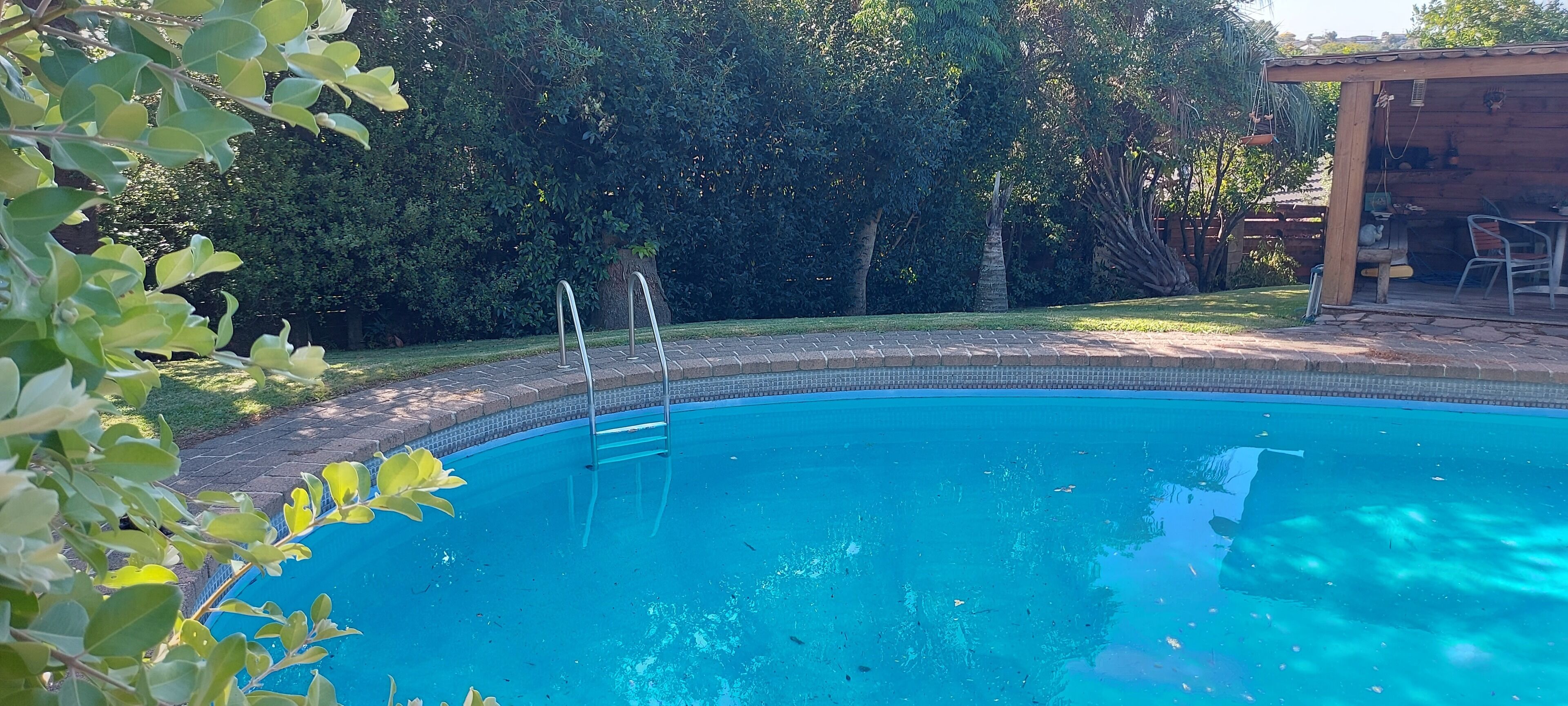 Una piscina con borde de azulejos, rodeada por un deck de ladrillo y abundante vegetación.