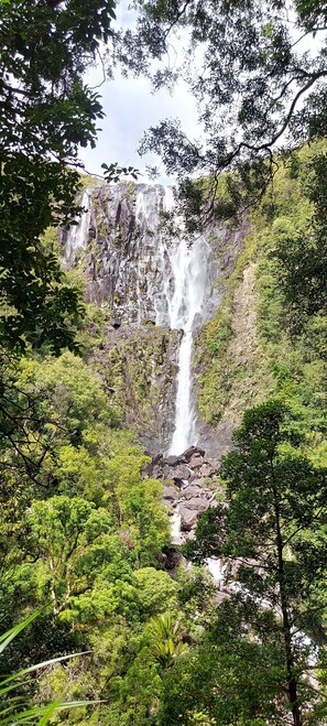 A waterfall cascading down a rocky cliff surrounded by lush greenery.