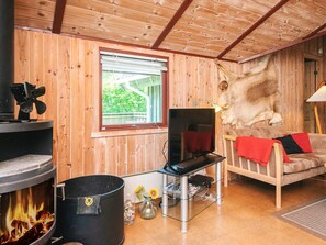 A cozy room with a fireplace, a sofa, a TV, and a large dog.