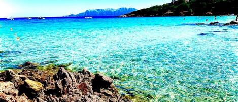 Ferienhaus | Blick von der Unterkunft