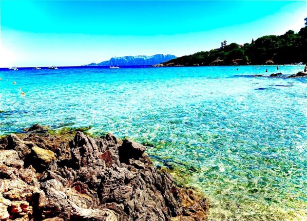 House | View from property - Holiday Home in Olbia Near Marinella Beach (Golfo Aranci)