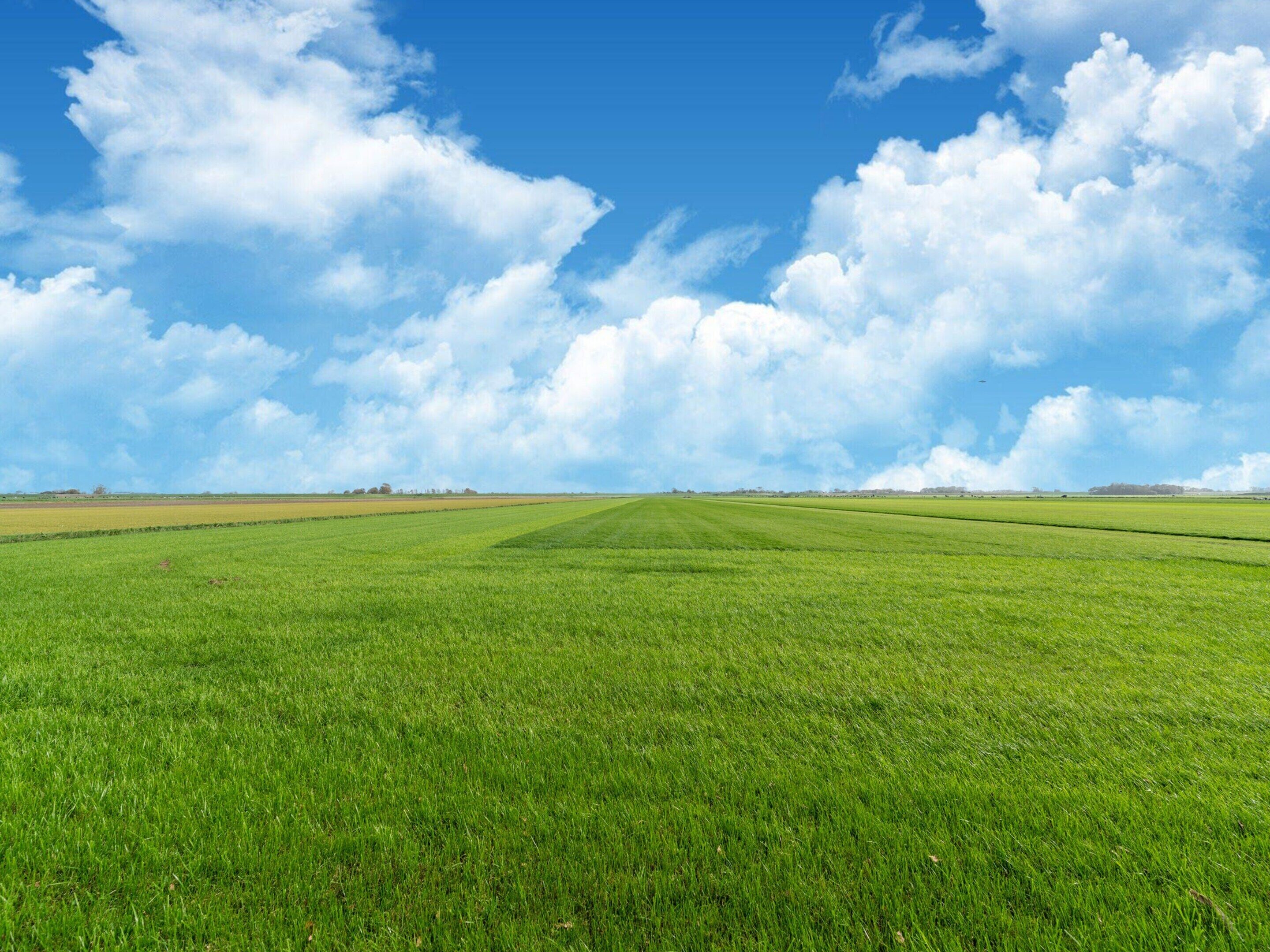 A vast, open field under a clear blue sky with scattered clouds.