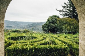 Free WiFi - Quinta De Guimaraes (Baiao)