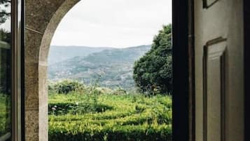 Vista dalla struttura