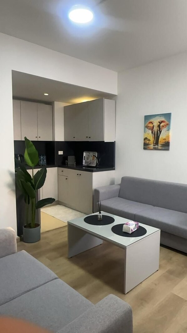 Deluxe Apartment