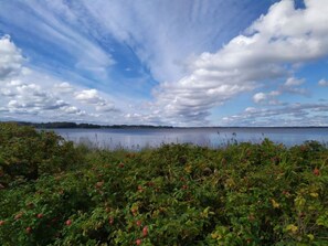Een natuurlandschap met een wateroppervlak, bewolkte lucht en dichte begroeiing op de voorgrond.