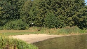 Un paysage naturel comprenant une rivière, une forêt dense et une zone sablonneuse.