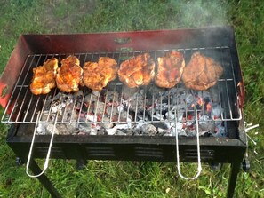 A barbecue grill with several pieces of meat cooking over charcoal. - on Grimnitzsee With Lake Views (Joachimsthal)