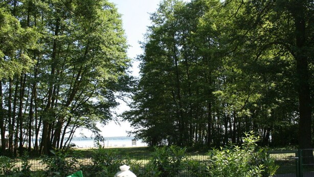 Une table avec une théière et un panier de fruits, le tout placé devant un décor d’arbres et offrant une vue sur l’eau.