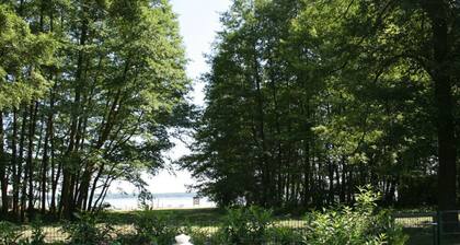 on Grimnitzsee With Lake Views