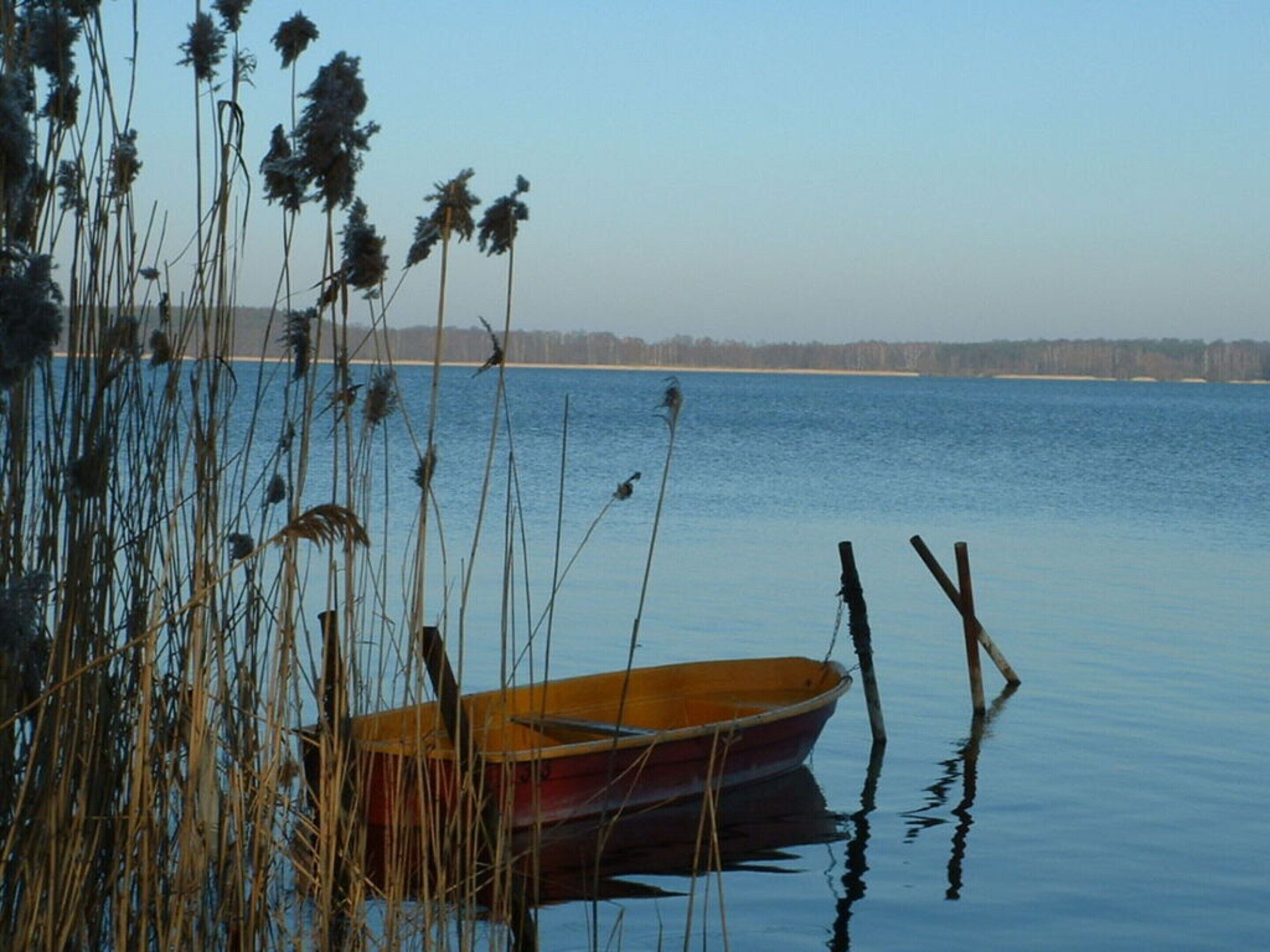 Un pequeño bote de madera atado a un muelle, con juncos en primer plano.