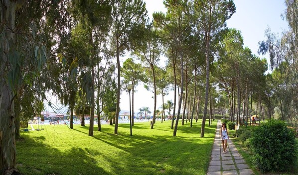 A pathway lined with tall trees and a grassy area. - Futura Club La Praya (Pizzo)