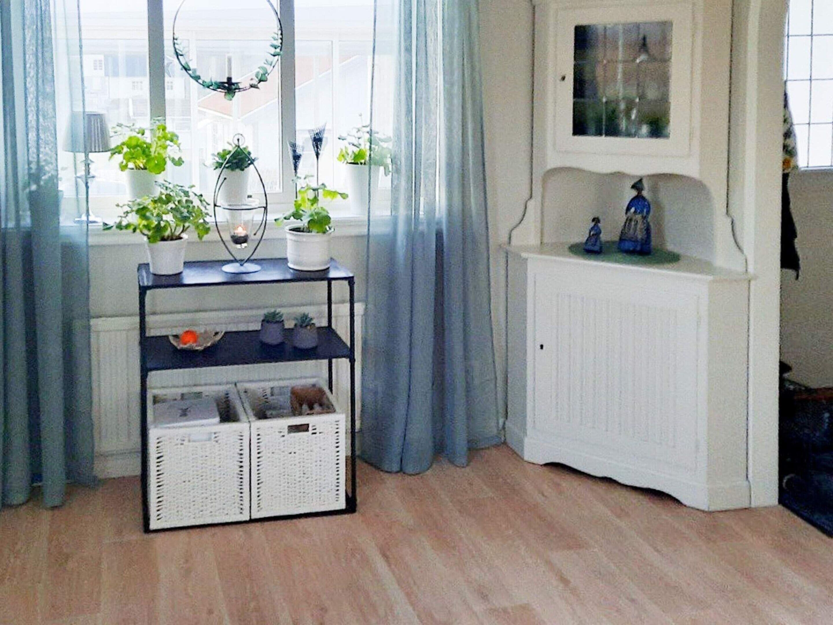Une pièce avec une fenêtre, un radiateur blanc, une étagère avec des plantes et un panier en osier.