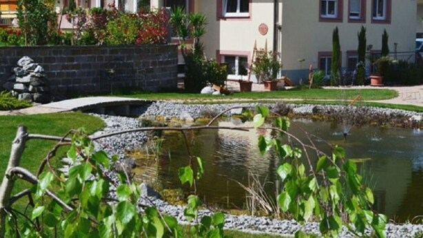 Ein Wohngebäude mit Teich im Garten, umgeben von Grünpflanzen und Kübelpflanzen.