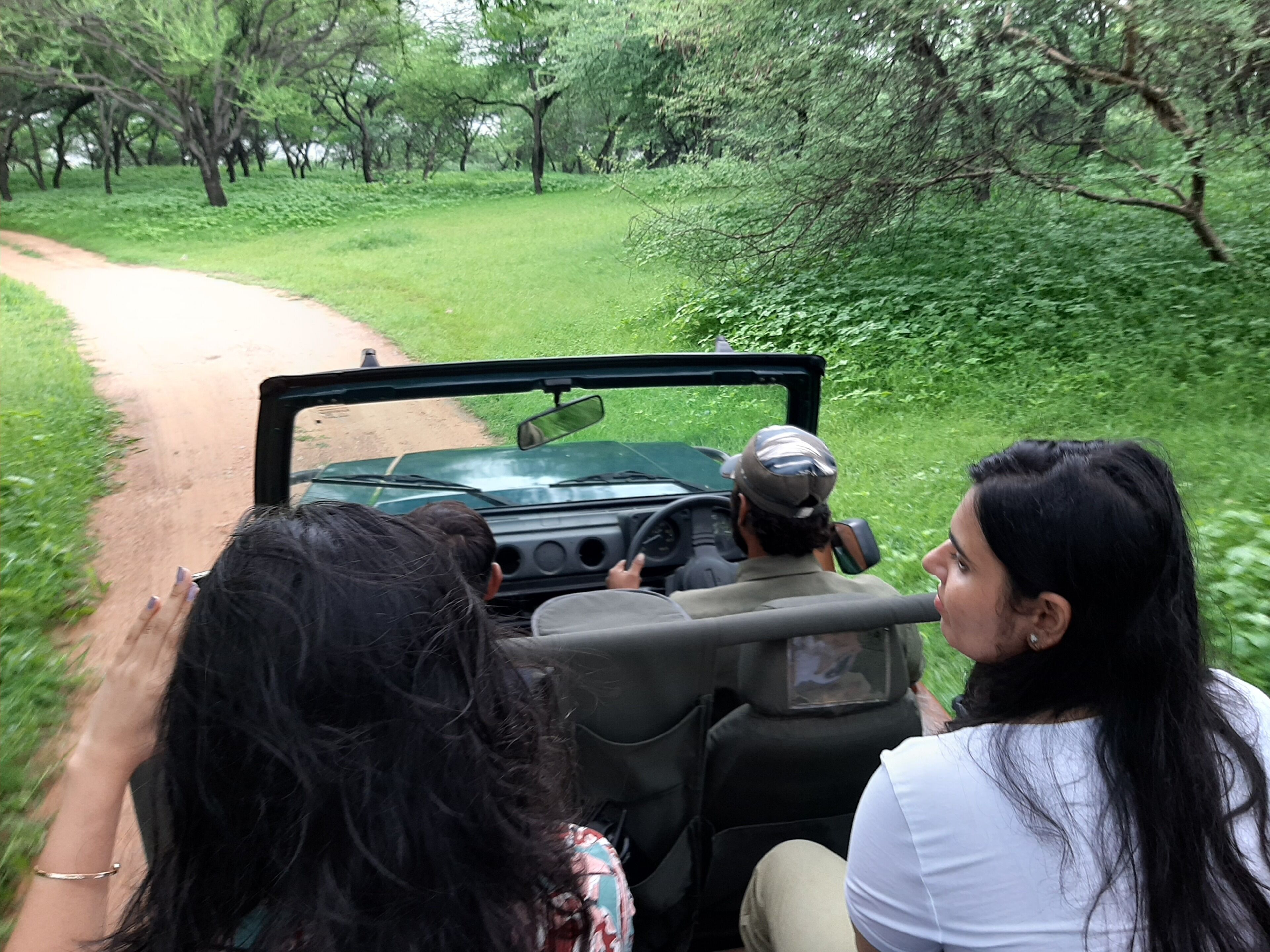 A convertible vehicle driving on a dirt path surrounded by greenery.