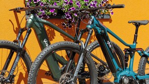 Ein türkisblaues Fahrrad mit einem Korb voller lila Blumen, an einer gelben Wand mit Fenster und Beschilderung geparkt.