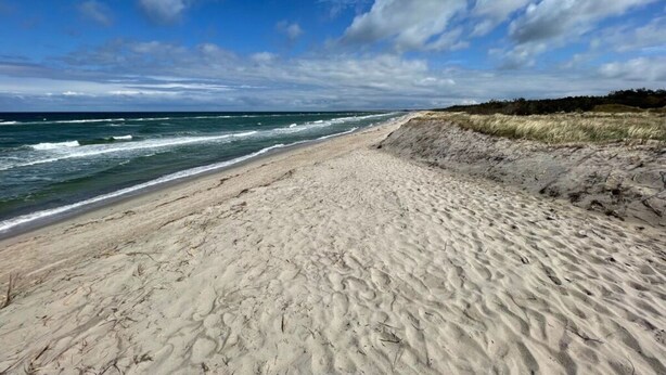 A sandy beach with waves, a clear sky, and a distant tree line. - Villa Ostseekind Comfortable Holiday Residence (Ostseebad Dierhagen)