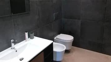 Shower, hair dryer, bidet, towels