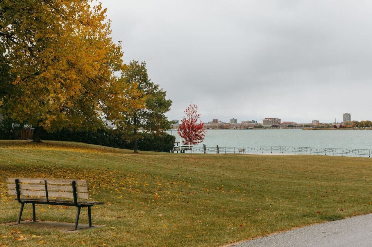 Un parc avec un banc, une pelouse et une étendue d’eau, avec des bâtiments en arrière-plan.