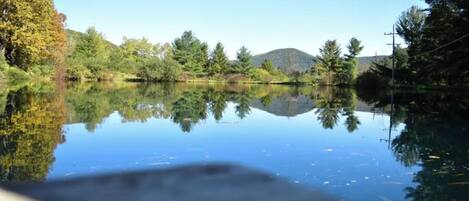 Un lago tranquilo con reflejos de árboles y una montaña al fondo.