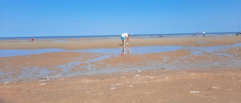 Apartment | View from property