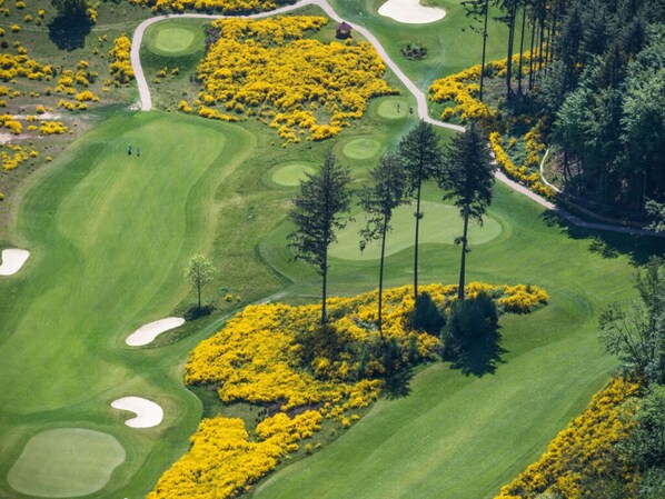 Golf - Weiherhof Comfortable Holiday Residence (Wadern)