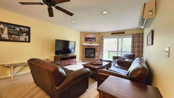 电视、壁炉、DVD 播放器