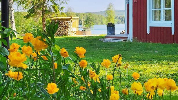 House | Exterior - 7 Person Holiday Home in Bjurholm (Bjurholm)