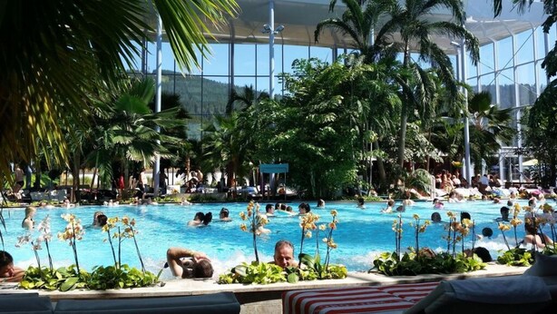 A large indoor swimming pool surrounded by palm trees and tropical plants, with a glass ceiling and a view of the mountains in the background. - Landhuis Appartement Feldberg Uitzicht (Sankt Maergen)