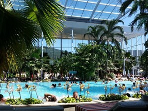 A large indoor swimming pool surrounded by palm trees and tropical plants, with a glass ceiling and a view of the mountains in the background. - Landhuis Appartement Feldberg Uitzicht (Sankt Maergen)