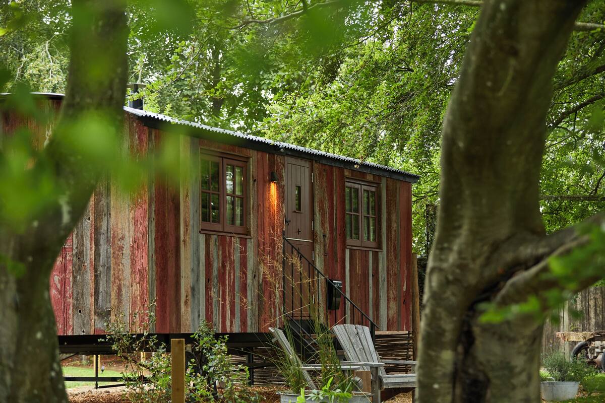A rustic wooden cabin with a metal roof, surrounded by trees.