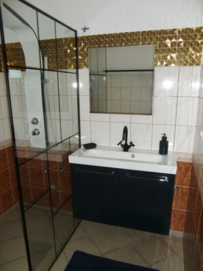 Shower, towels, soap, toilet paper