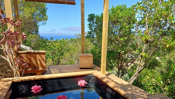 A wooden deck with a small pond, surrounded by lush greenery and a clear view of the ocean. - Charm and tranquility, panoramic views of the sea and the islands, 3 minutes from the beaches (porticcio)