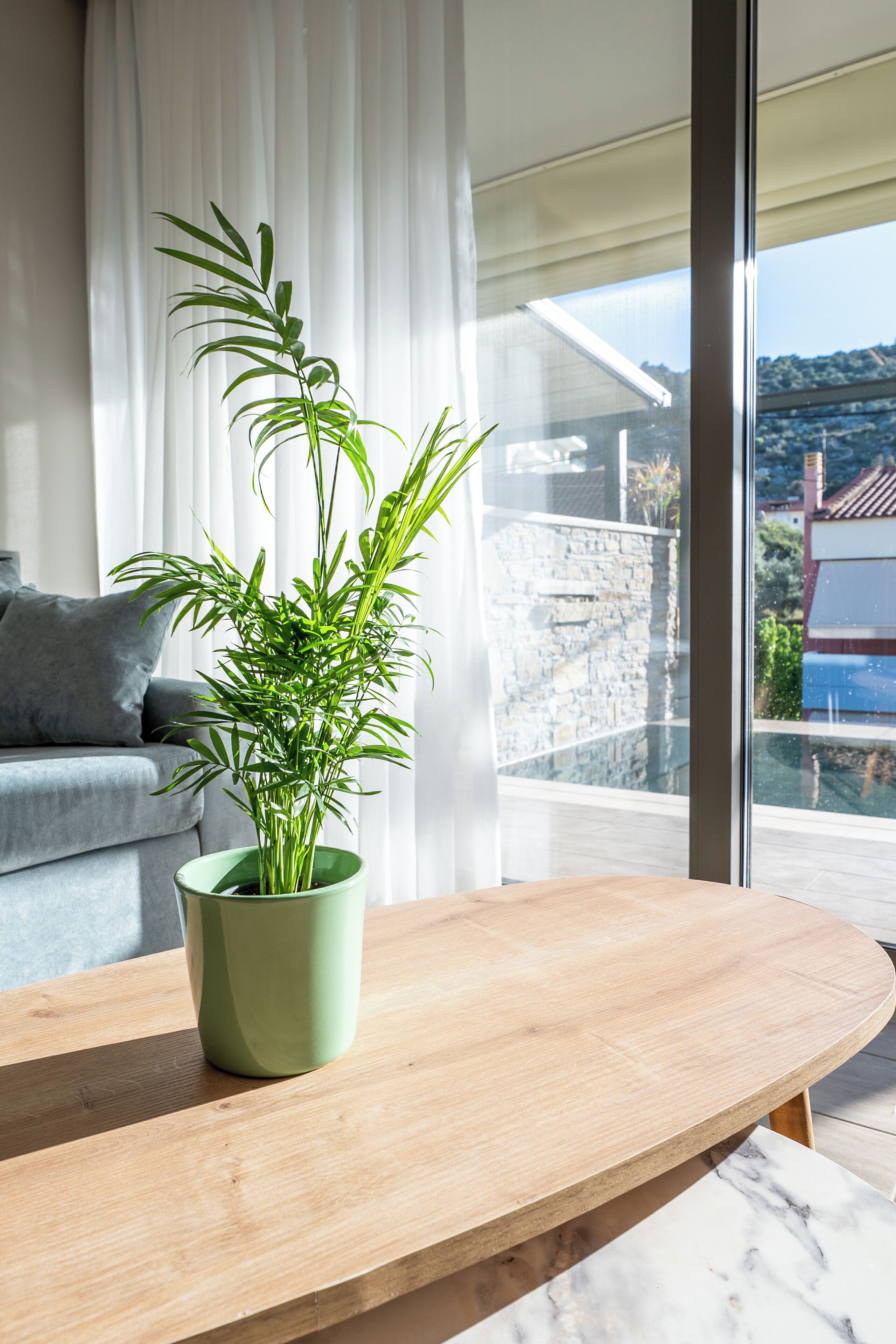 Un salón moderno con una mesa de madera, una planta verde en maceta, un sofá gris y un amplio ventanal con vistas a un muro de piedra y un edificio.