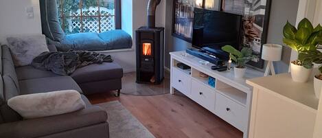 Smart TV, fireplace, computer monitors