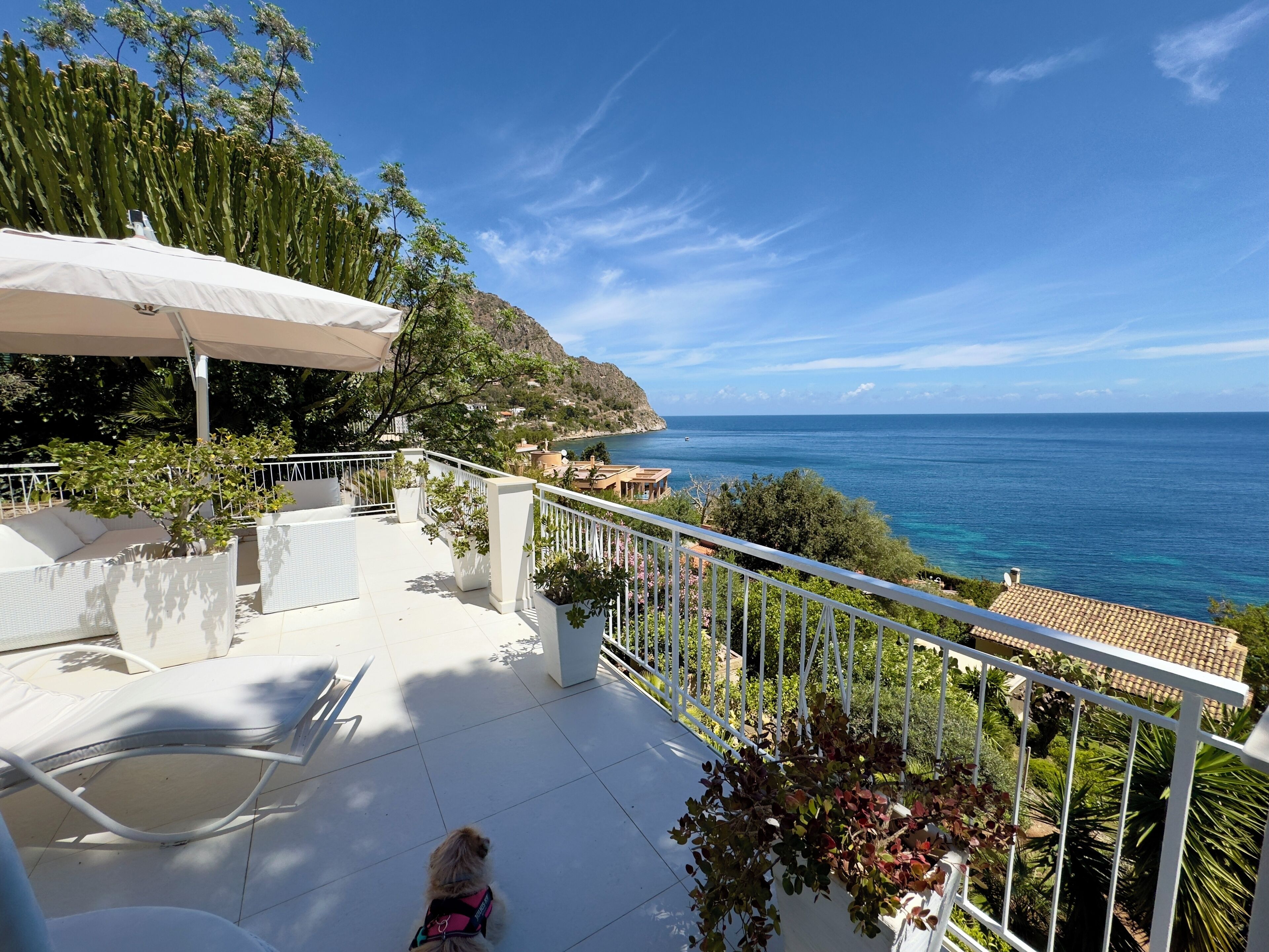 A balcony with outdoor furniture, a dog, and a view of the sea.