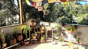 Property grounds - Room with own bathroom in
Mullumbimby near Byron Bay  (Mullumbimby)