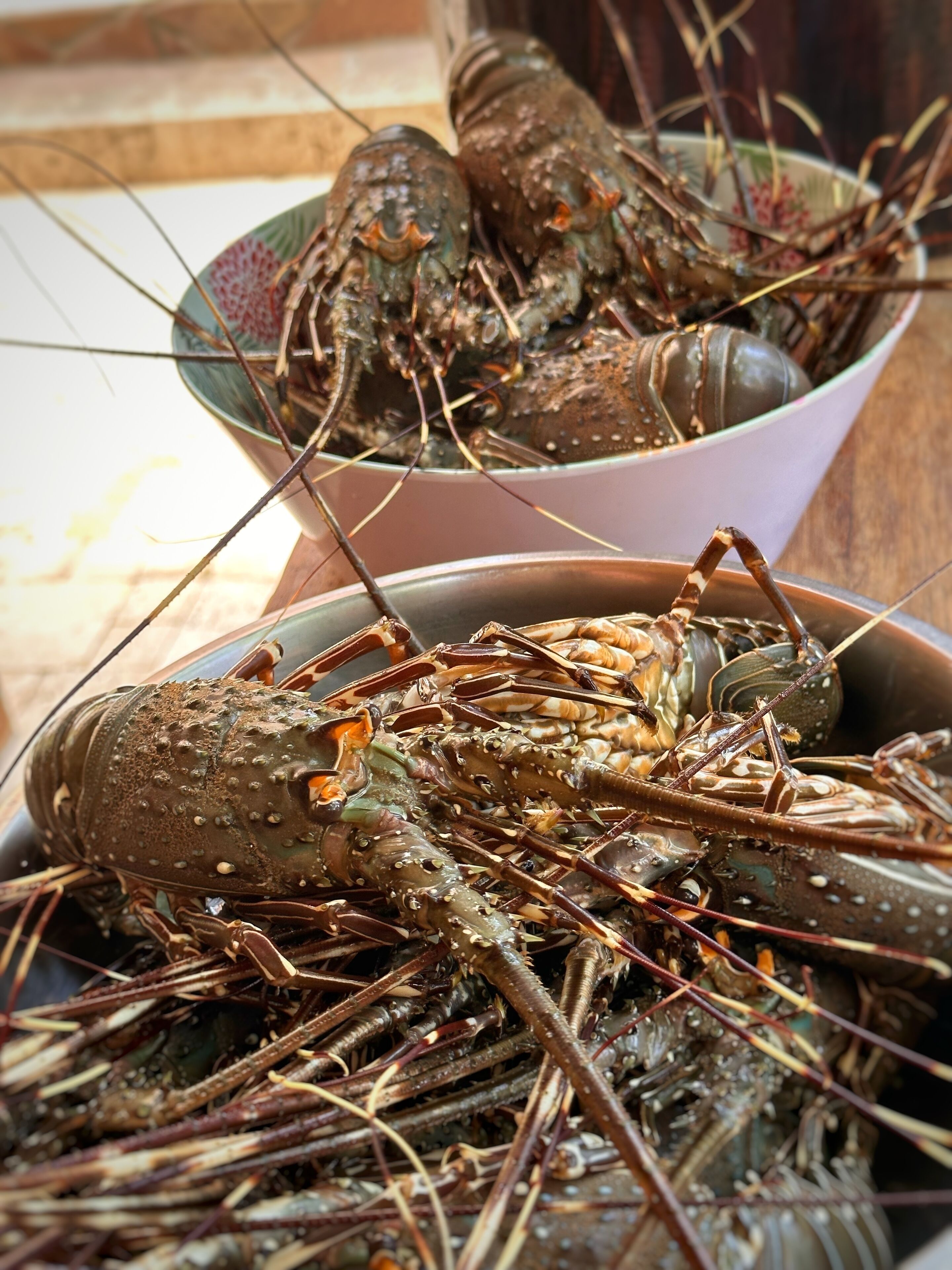 Photo - Villa Del Sol