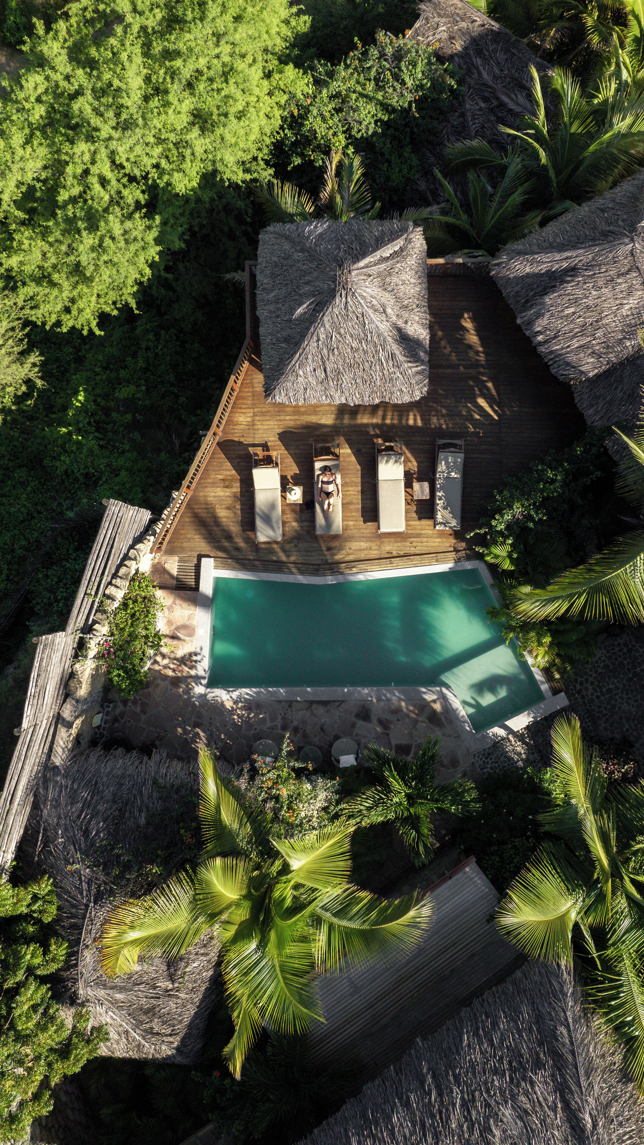 A wooden house with a pool, surrounded by tropical vegetation.