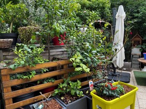 Property grounds - Duplex Bord de Seine Avec Terrasse Comme une Maison! Chats Acceptés (Villeneuve-la-Garenne)