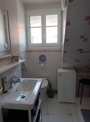 Shower, hair dryer, soap, toilet paper
