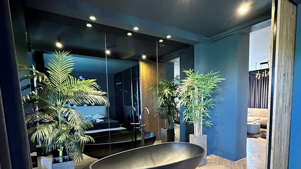 A modern interior with a large, dark bathtub, wooden flooring, and potted plants.