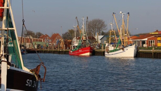 A harbor with several boats docked, a building with a yellow sign, and houses in the background. - Holiday Home Alte Liebe Busum (Büsum)