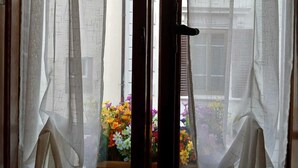 A window with sheer curtains, a view of a building, and a flower arrangement outside. - Guelfa56: delightful apartment with air conditioning in the center (Firenze)