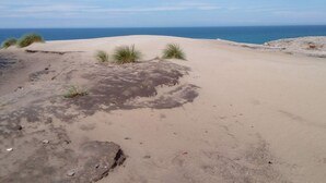 Ein sandiger Strand mit spärlicher Vegetation und freiem Blick auf das Meer.