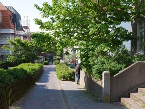 Un étroit sentier pavé, bordé de verdure, et un escalier en pierre.