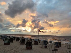 Vue sur la plage/l’océan