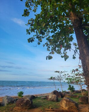 A beach with large rocks, a tree, and the ocean.